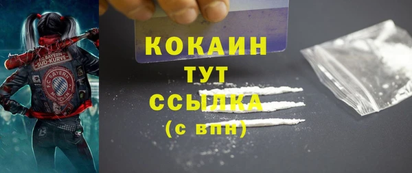 дживик Белоозёрский