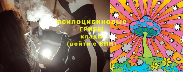 дживик Белоозёрский