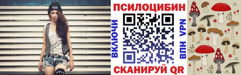 Галлюциногенные грибы MAGIC MUSHROOMS  купить наркоту  Кунгур 